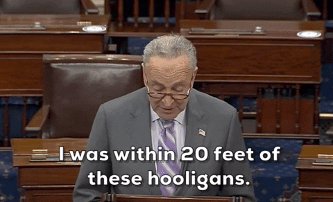 Chuck Schumer Hooligans GIF by GIPHY News