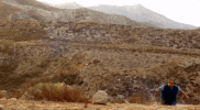 snake #teamscorpion GIF by CBS