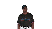 miami marlins arms Sticker by MLB