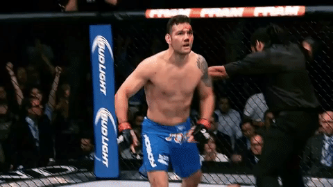 Ufc 210 Mma GIF by UFC