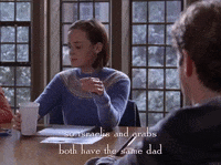 season 4 netflix GIF by Gilmore Girls 