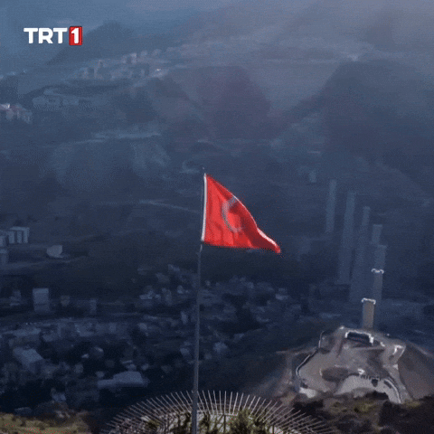 15 Temmuz Flag GIF by TRT