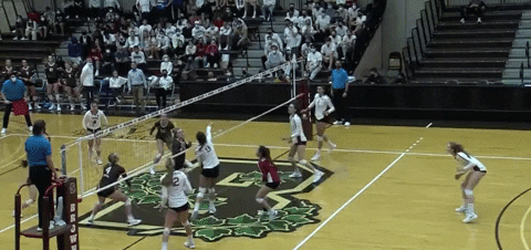 Celebration Dancing GIF by Brown Volleyball