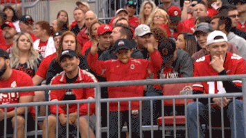 ncaa sports GIF by Ohio State Athletics
