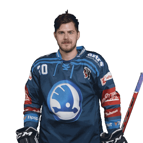 Hockey Hokej Sticker by HC Škoda Plzeň