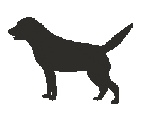 rogueartlab dog lab happy dog labrador Sticker