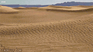 timelapse africa GIF by Cheezburger