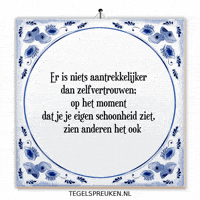 Nl Reflectie GIF by Tegelspreuken.nl