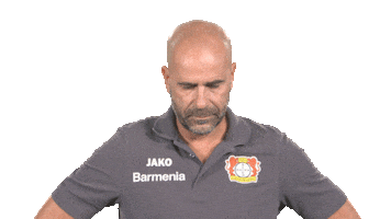 Bayer 04 Hello Sticker by Bundesliga