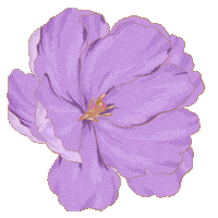 Pink Baby Sticker by Marlo Kids