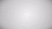 Dance Love GIF by Minkys