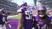 Celebration Scream GIF by Minnesota Vikings