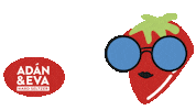 ADANyEVA lata hard seltzer coctel mandarina Sticker
