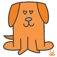 Cat Reaction Sticker by Best Friends Animal Society