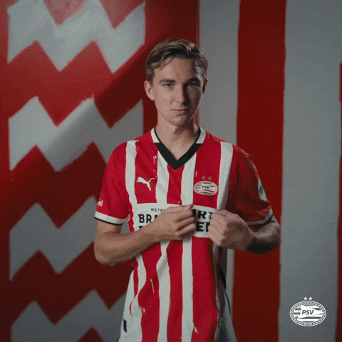 Land Eindhoven GIF by PSV
