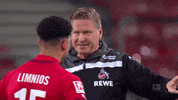 1 Fc Cologne Football GIF by 1. FC Köln