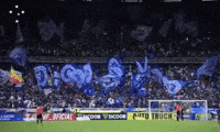 Palestra Italia Cruzeiro GIF
