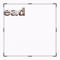 Read A Book GIF by Dr. Donna Thomas Rodgers