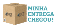 Entrega Logistica Sticker by Arlete Transportes
