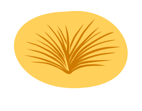 Bird Hand Sticker by Ecostore