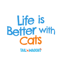 Catlover Sticker by Tail Waggin'
