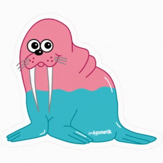 imkosmetik морж морик маржа GIF