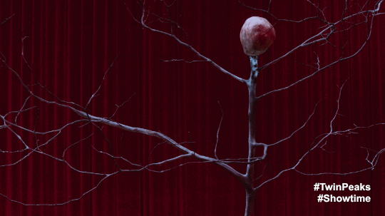 Twin Peaks The Arm Doppelganger GIF by Twin Peaks on Showtime