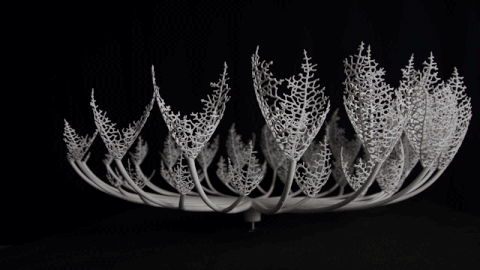 zoetrope GIF