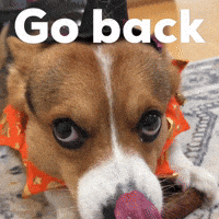 Go Back Dog GIF