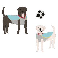 Soccer Dogs Sticker by Andrea Caceres