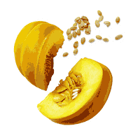 Soul-Origin pumpkin soup veggies soups Sticker