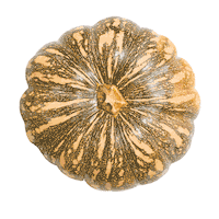 Soul-Origin pumpkin soup veggies soups Sticker