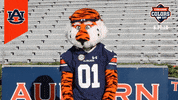 College Football GIF by Auburn University