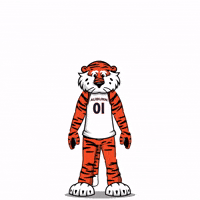 College Basketball Point GIF by SportsManias