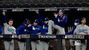 Excited Major League Baseball GIF by MLB
