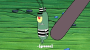 season 9 episode 6 GIF by SpongeBob SquarePants