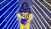 Go Blue Michigan Football GIF by Michigan Athletics
