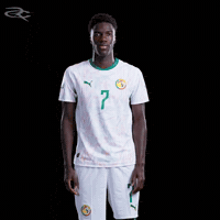 Fifa World Cup Caf GIF by Respective