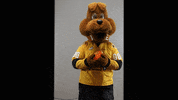 BdnWheatKings kings brandon willie wheat GIF