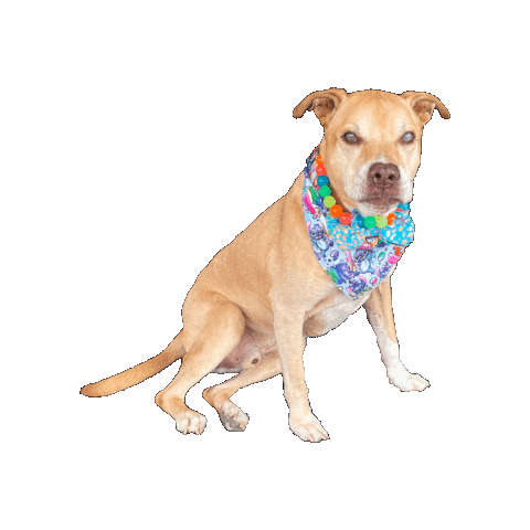 Stitch Sticker by Geekster Pets