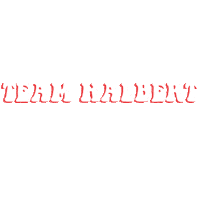 David4Boston Sticker by David Halbert