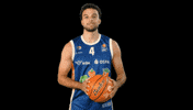 Basketball Elias GIF by Rostock Seawolves