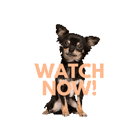 Watch Now Call To Sticker by people who kaer