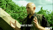 What Is That Extra Terrestrial GIF by DefyTV