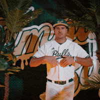 South Florida Baseball GIF by USF Athletics