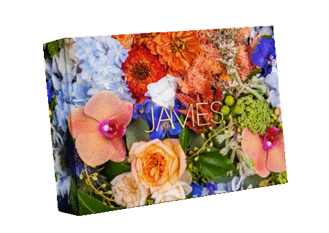 Beauty Flowers Sticker by James