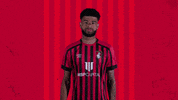 Celebrating I See You GIF by AFC Bournemouth