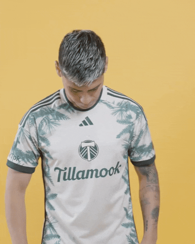 Mls Portland GIF by Timbers