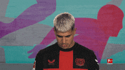 Posing Bayer 04 GIF by Bundesliga