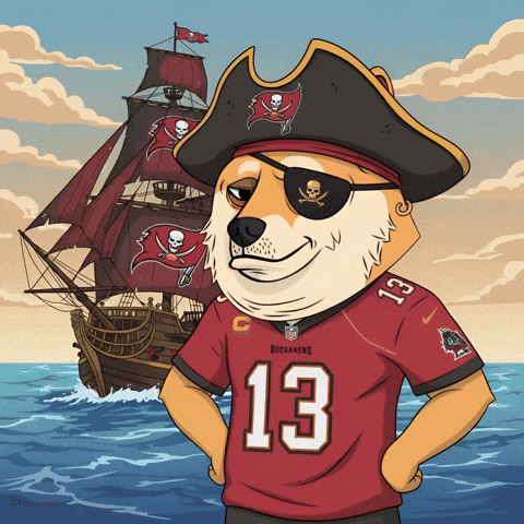 Tampa Bay Buccaneers Football GIF by Doge Pound